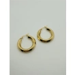 High-quality 316L Stainless Steel  Earring - Gold color Color