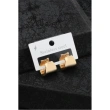 High-quality 316L Stainless Steel  Earring - Gold color Color