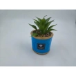 Home D&eacute;cor Decorative Plant with Printed Pot