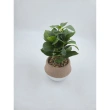 Artificial Potted Plant as 'Home D&eacute;cor
