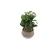 Artificial Potted Plant as 'Home D&eacute;cor
