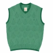 Boys' V-Neck Knit Vest - Green