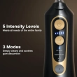 300ml Bitvae Cordless Oral Irrigator Black Gold with 6 Nozzle Tips