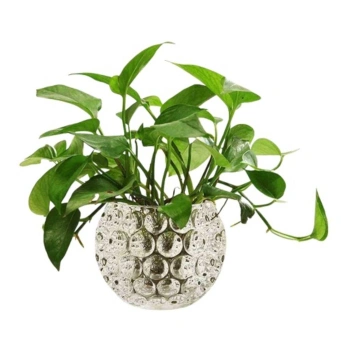 Glass Home Decor Statue