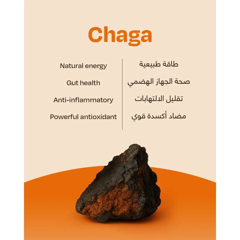 Bn Shroum Mocha Mushroom Coffee - 400g (25 Cups)