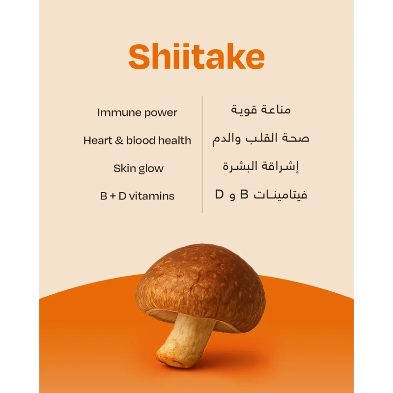 Bn Shroum Mocha Mushroom Coffee - 400g (25 Cups)